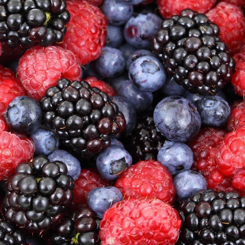 la fruteria de leo a66 09